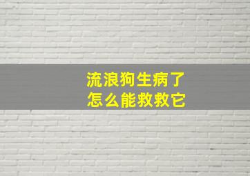 流浪狗生病了 怎么能救救它